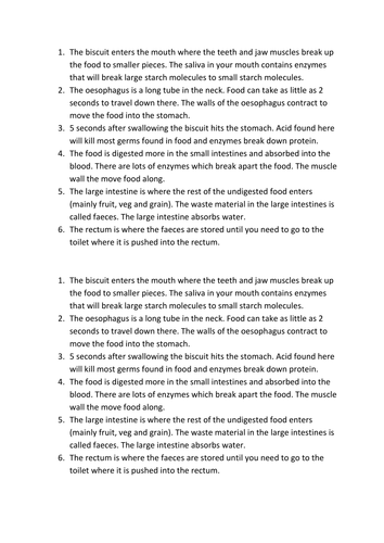 The digestive system