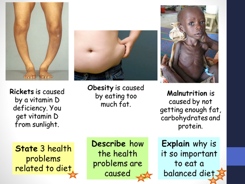 Enzymes in digestion