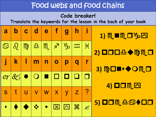 Food webs and food chains