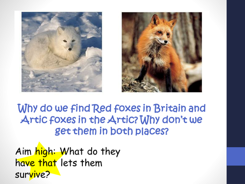 Competition and adaptation