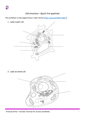 CELL STRUCTURE. AQA B1-Topic 1 Quick Fire Questions. 9-1 GCSE Biology or combined science revision