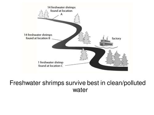 Edexcel B1 and C1 Huge Revision Resource 269 questions