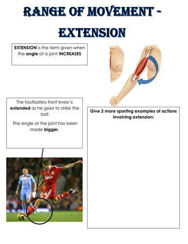AQA GCSE PE (2016 specification) Anatomy & Physiology -The skeletal system