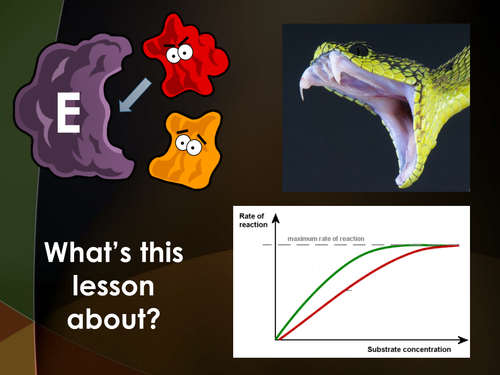 OUTSTANDING A Level Biology Lesson - Enzyme Inhibitors