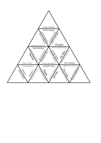 KS3 Respiration Tarsia