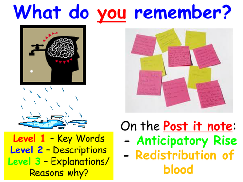 AQA New GCSE PE 2016 = Aerobic and Anaerobic Exercise/ respiration