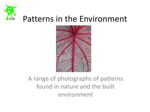 Art. Patterns in the environment slideshow