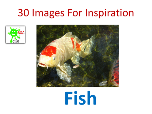 Art. Images of fish for inspiration