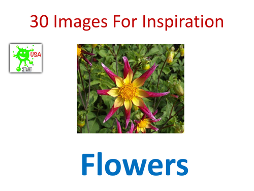 Art. Images of flowers for inspiration