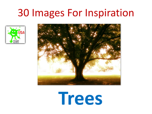 Art. Images of trees for inspiration