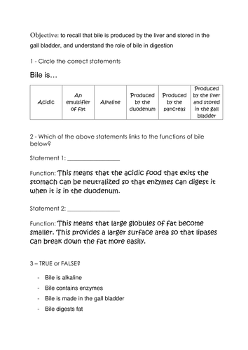Digestive System: Ingestion, Peristalsis, Digestion, Absorption, Assimilation, Egestion