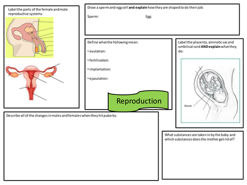 Reproduction topic revision mat