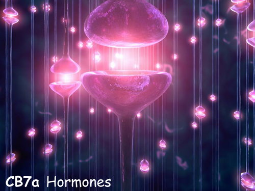 Edexcel CB7a Hormones