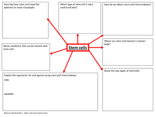 New GCSE Biology Specification - Unit 1 Cells - Stem cells worksheet