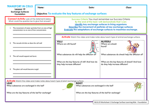 AQA New Specification - GCSE Biology - Unit 1 Cells - Exchnage surfaces ...