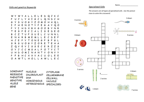 KS4 Biology Edexcel - B2 Cells and Genetics