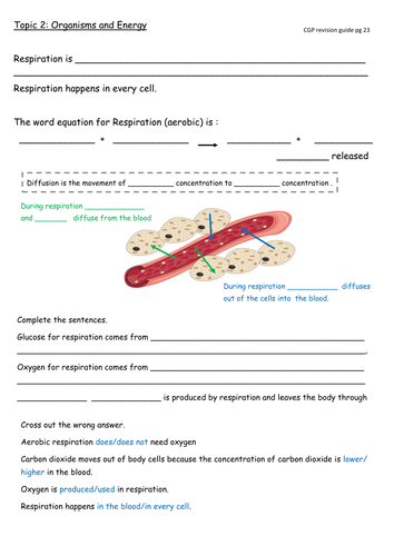 B2 Topic 2 - Organisms and Energy for Edexcel 2011