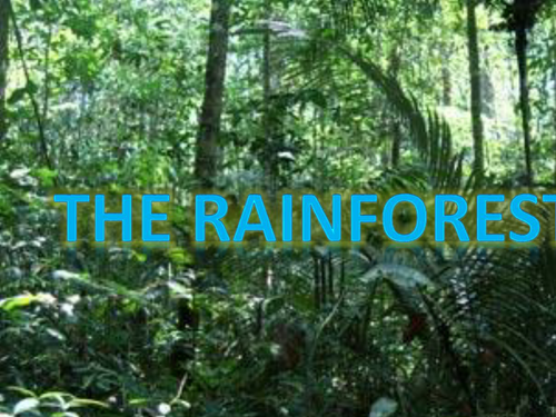 Rainforest - rio - carnival topic resources