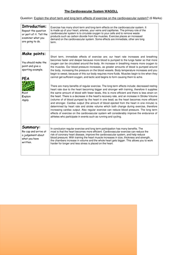 Pe essay questions picture