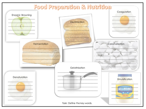 Key word definition worksheet - GCSE Food Preparation and Nutrition