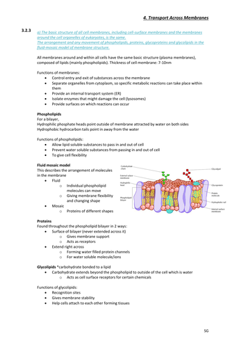 AQA Biology Transport Across Membranes