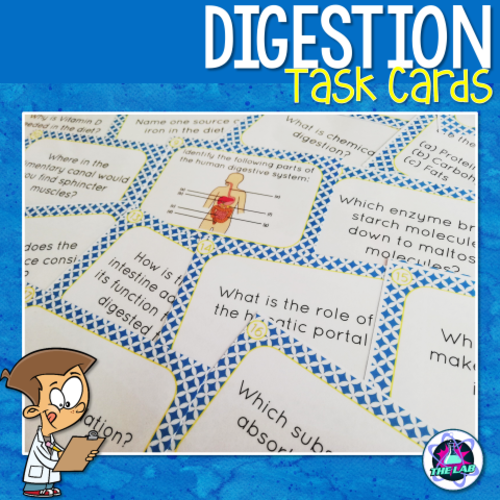 Digestion and Nutrition Task Cards