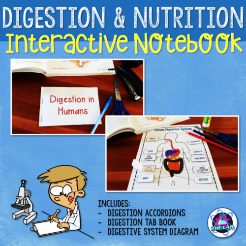 Digestion & Nutrition Interactive Notebook Activities