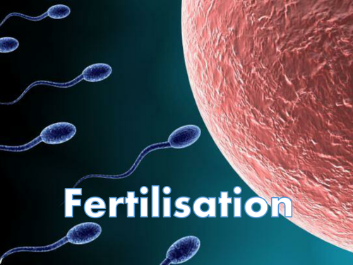 Internal and External Fertilisation