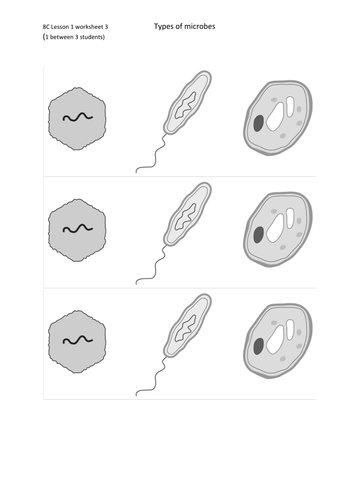 A Hidden World complete lesson bundle