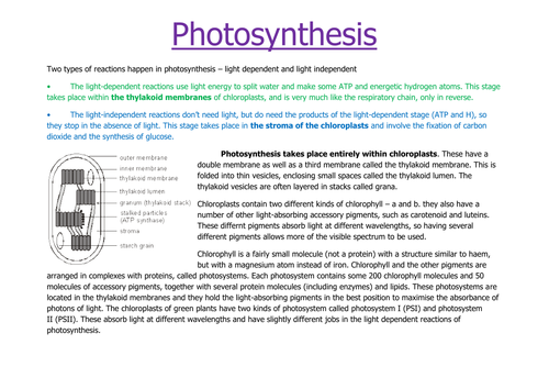 A Level Photosynthesis Revision