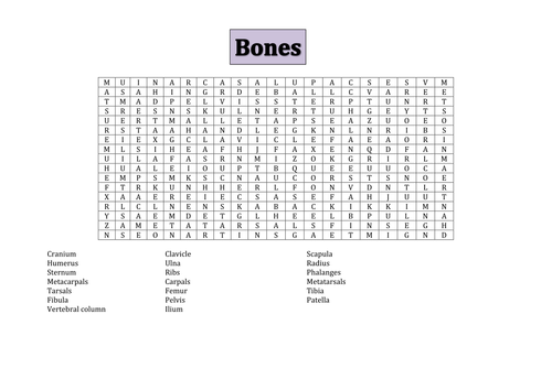 OCR GCSE PE Bones word search