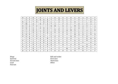 Joints and Levers word search