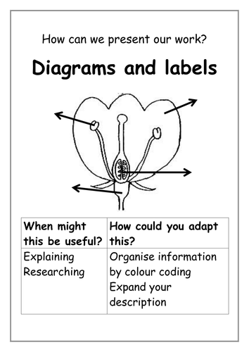 Best ways to present your work posters