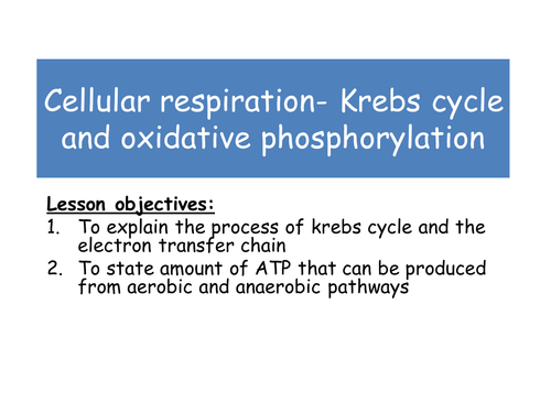 AQA (2016) Level 3 Certificate Applied Science Unit 1 e) Breathing and cellular respiration
