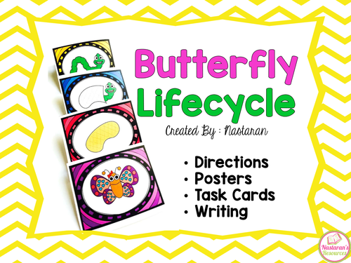 Butterfly Lifecycle