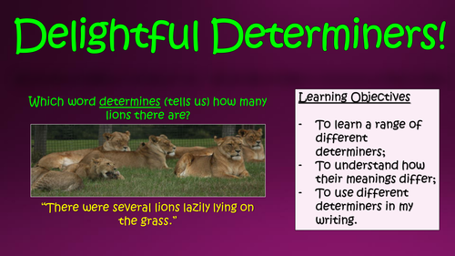 Delightful Determiners!