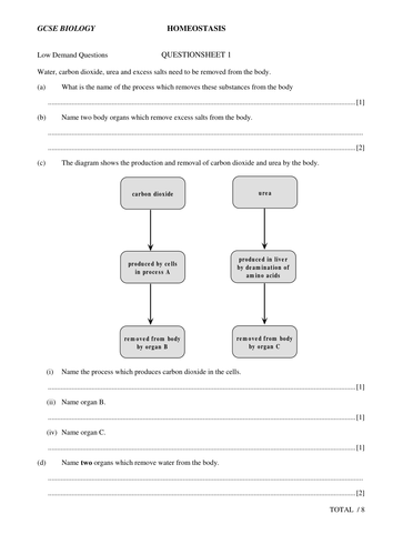 Homeostasis | Teaching Resources