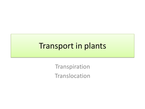 powerpoint presentation on transport in plants