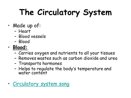 Circulatory System