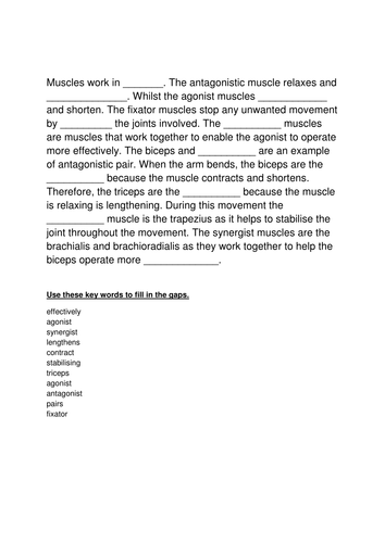 Antagonistic muscle pairs activities