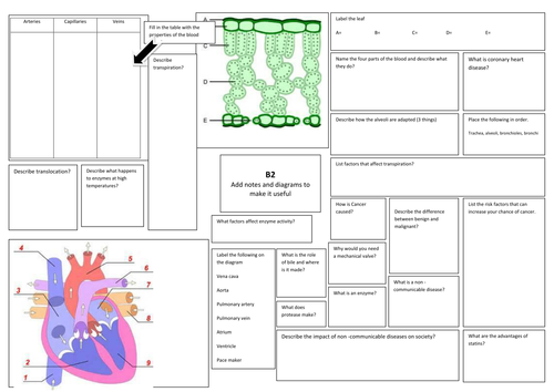 aqa b2 revision broadsheet