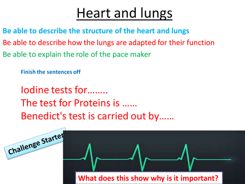 AQA b2 structure of the heart and lungs