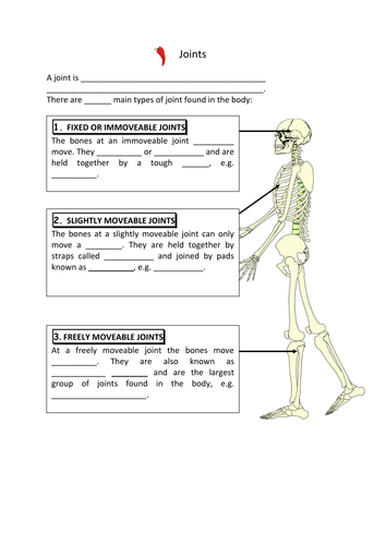 OCR GCSE PE JOINTS (2016) - LAPS WORKBOOK