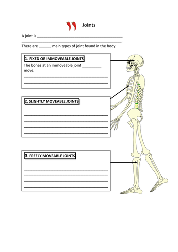 OCR GCSE PE JOINTS (2016) - MAPS WORKBOOK