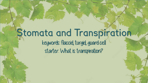 Stomata & Transpiration