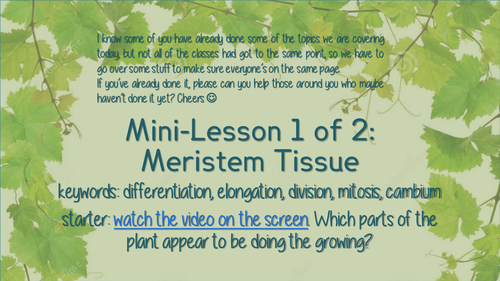 Meristems & Transport Systems