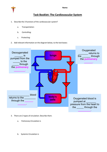 OCR GCSE PE (2016) - CARDIOVASCULAR SYSTEM WORKSHEET (LAPs)