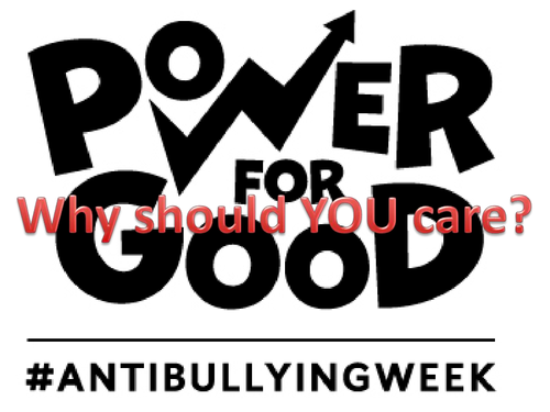 Internet Safety/ Cyber Bullying Assembly