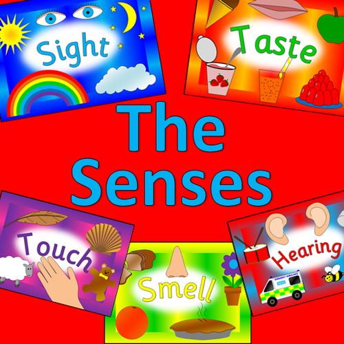 The Senses topic pack- Ourselves