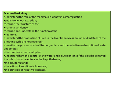 A-level Kidney revision